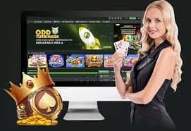 elephant bet